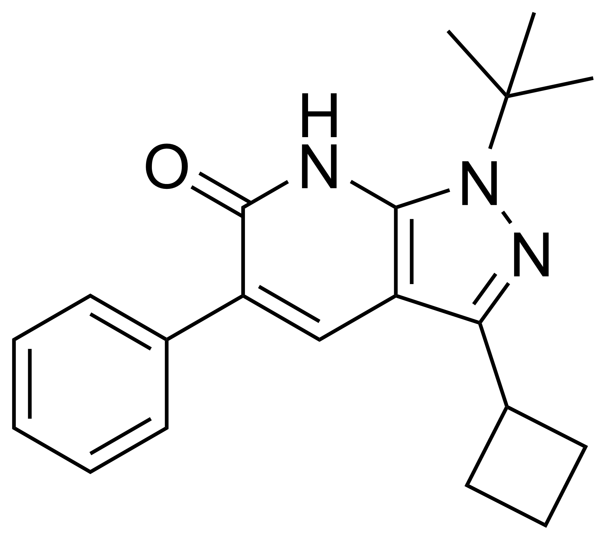 1-(tert-butyl)-3-cyclobutyl-5-phenyl-1,7-dihydro-6H-pyrazolo[3,4-b]pyridin-6-one – CAS 820233-52-1