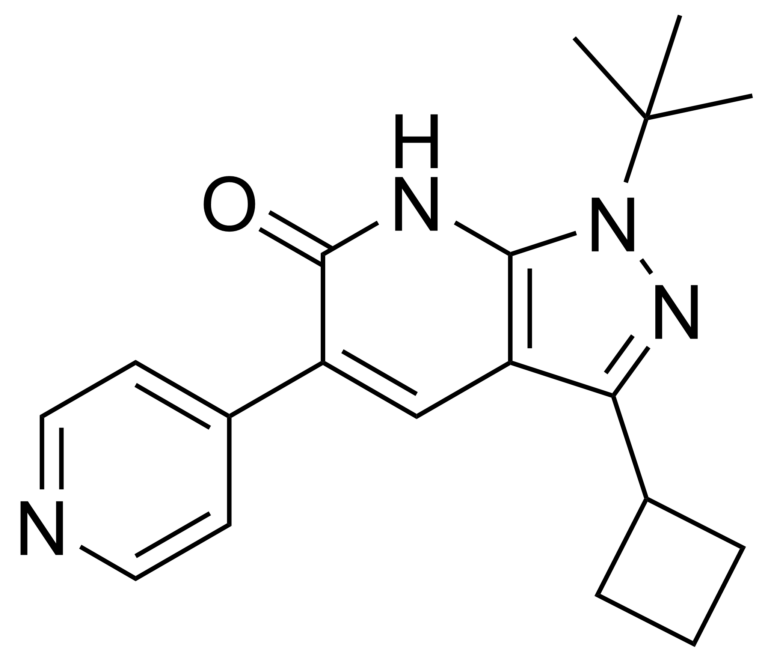 Main product photo - 1-(tert-butyl)-3-cyclobutyl-5-(pyridin-4-yl)-1,7-dihydro-6H-pyrazolo[3,4-b]pyridin-6-one