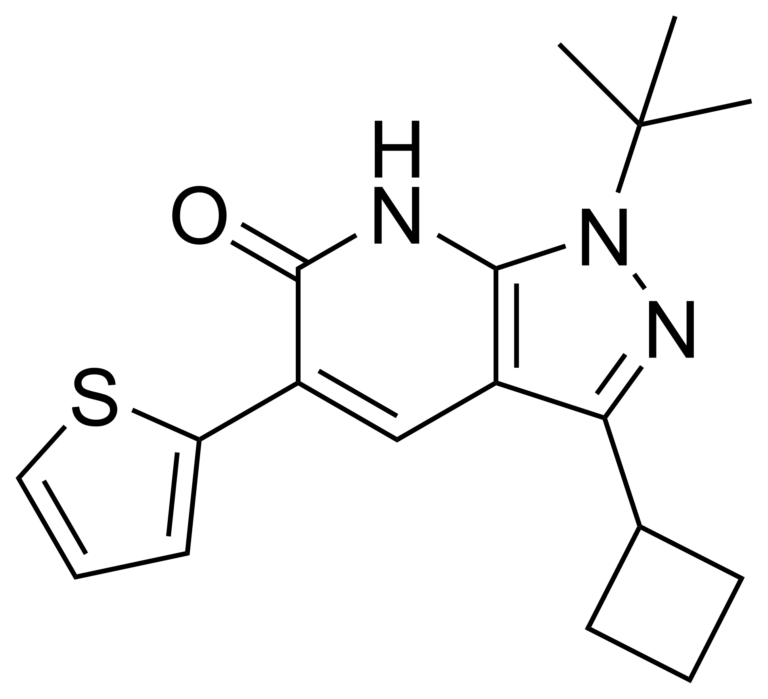 Main product photo - 1-(tert-butyl)-3-cyclobutyl-5-(thiophen-2-yl)-1,7-dihydro-6H-pyrazolo[3,4-b]pyridin-6-one