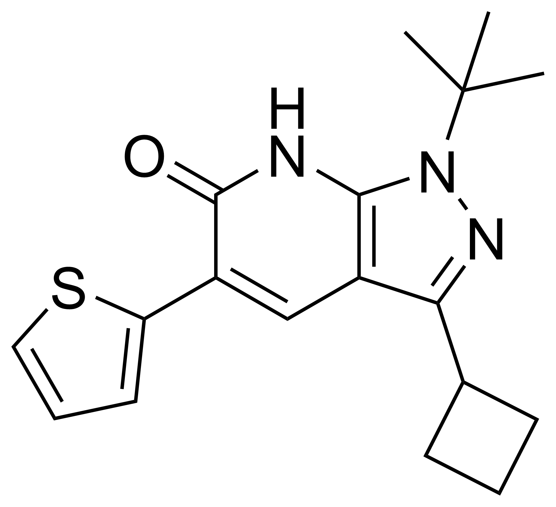 1-(tert-butyl)-3-cyclobutyl-5-(thiophen-2-yl)-1,7-dihydro-6H-pyrazolo[3,4-b]pyridin-6-one