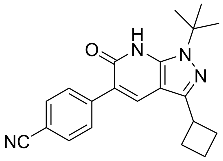 Main product photo - 4-(1-(tert-butyl)-3-cyclobutyl-6-oxo-6,7-dihydro-1H-pyrazolo[3,4-b]pyridin-5-yl)benzonitrile