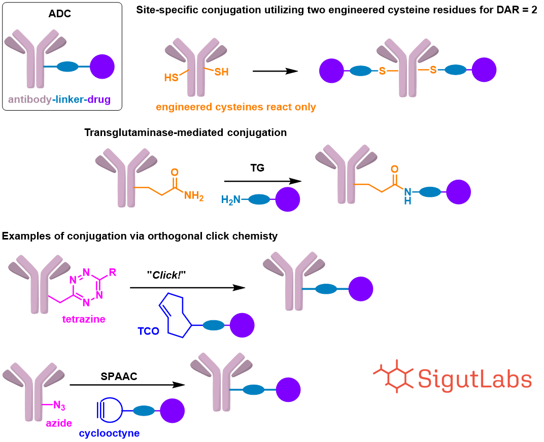 SigutLabs_Strategies for DAR linkedin