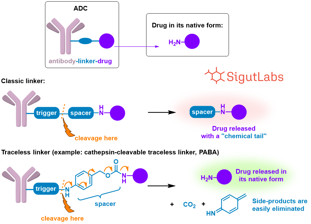 SigutLabs_Traceless linkers