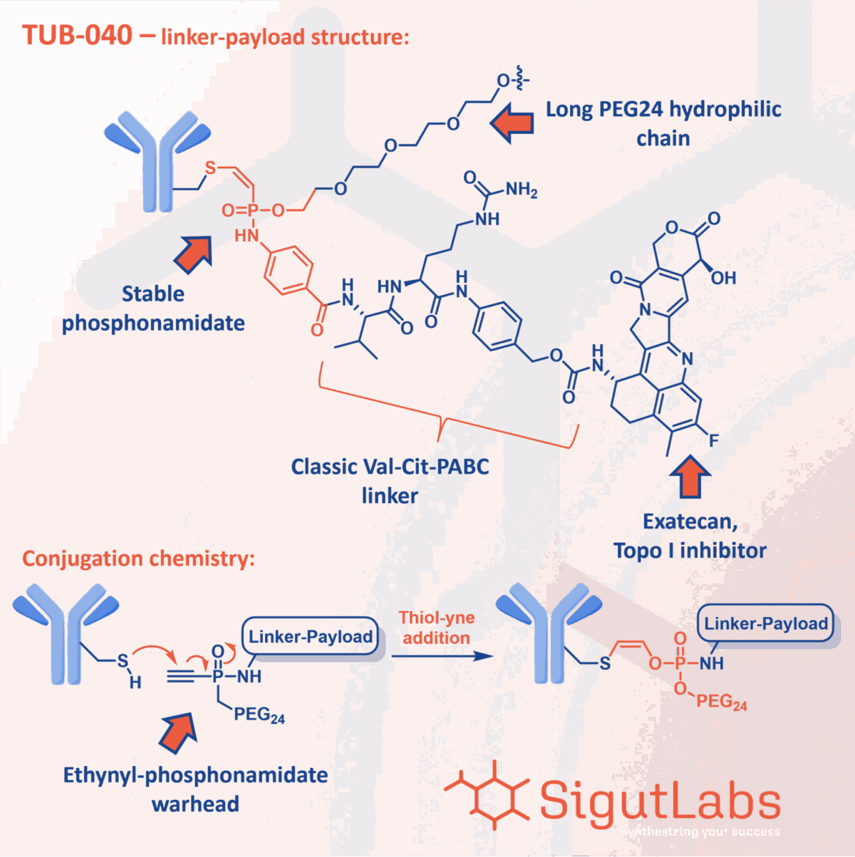 SigutLabs_TUB-040 figure