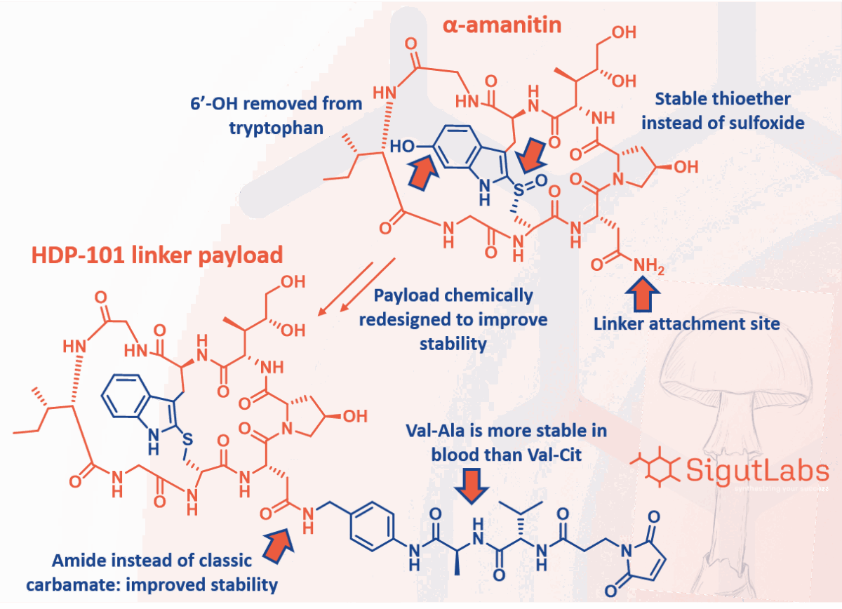 SigutLabs_HDP-101