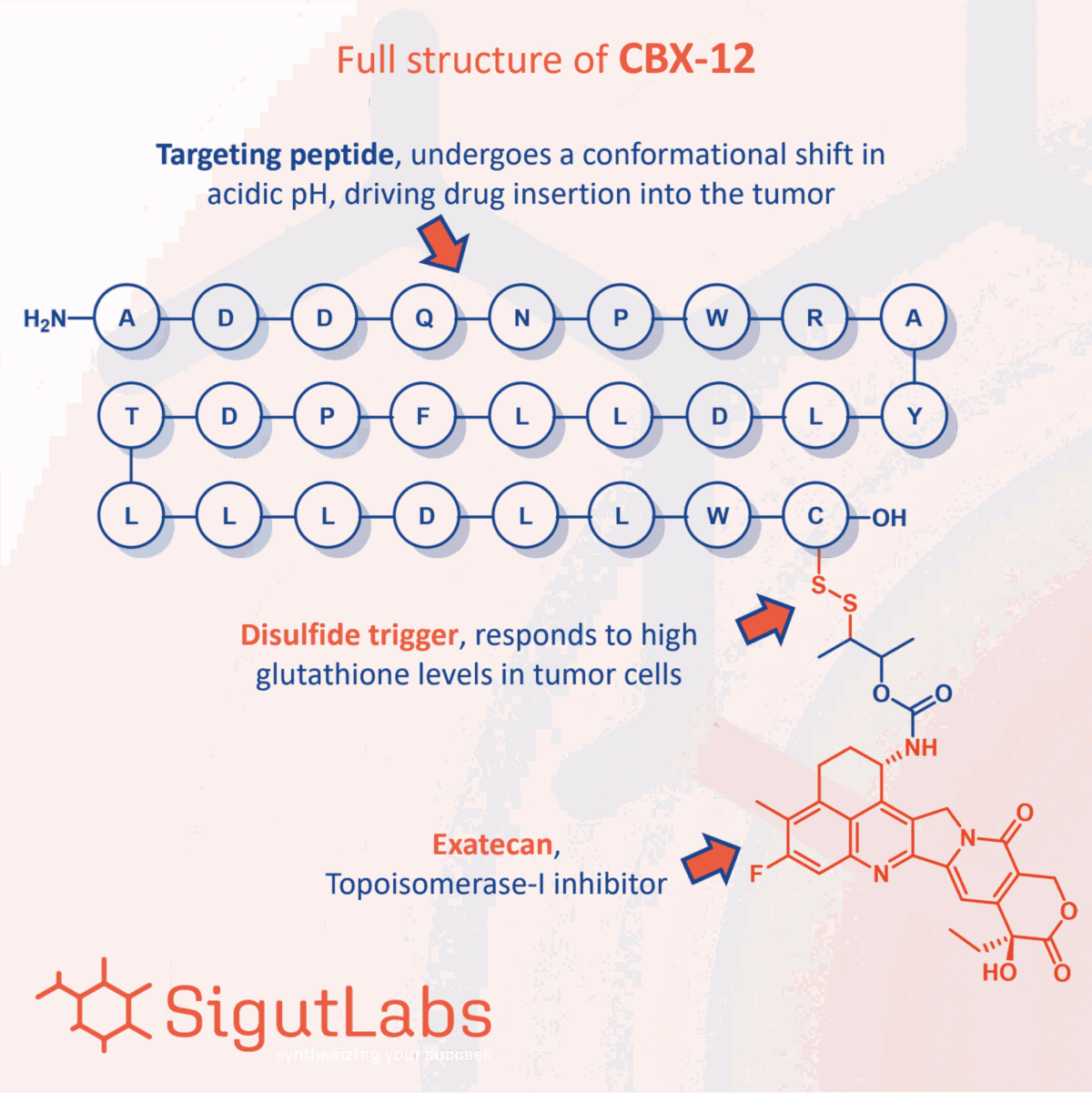 SigutLabs_CBX-12 figure