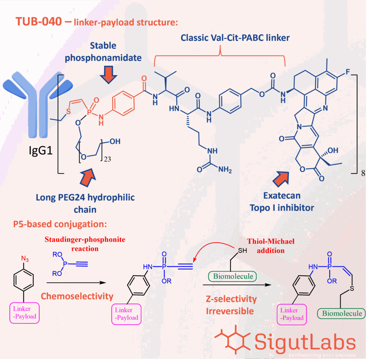 SigutLabs_P5 conjugation_Staudinger Phosphonite