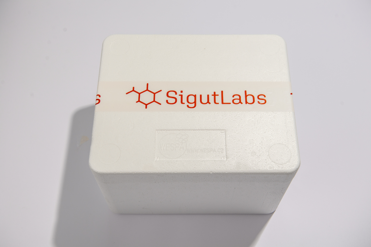 SigutLabs_VS1_5282