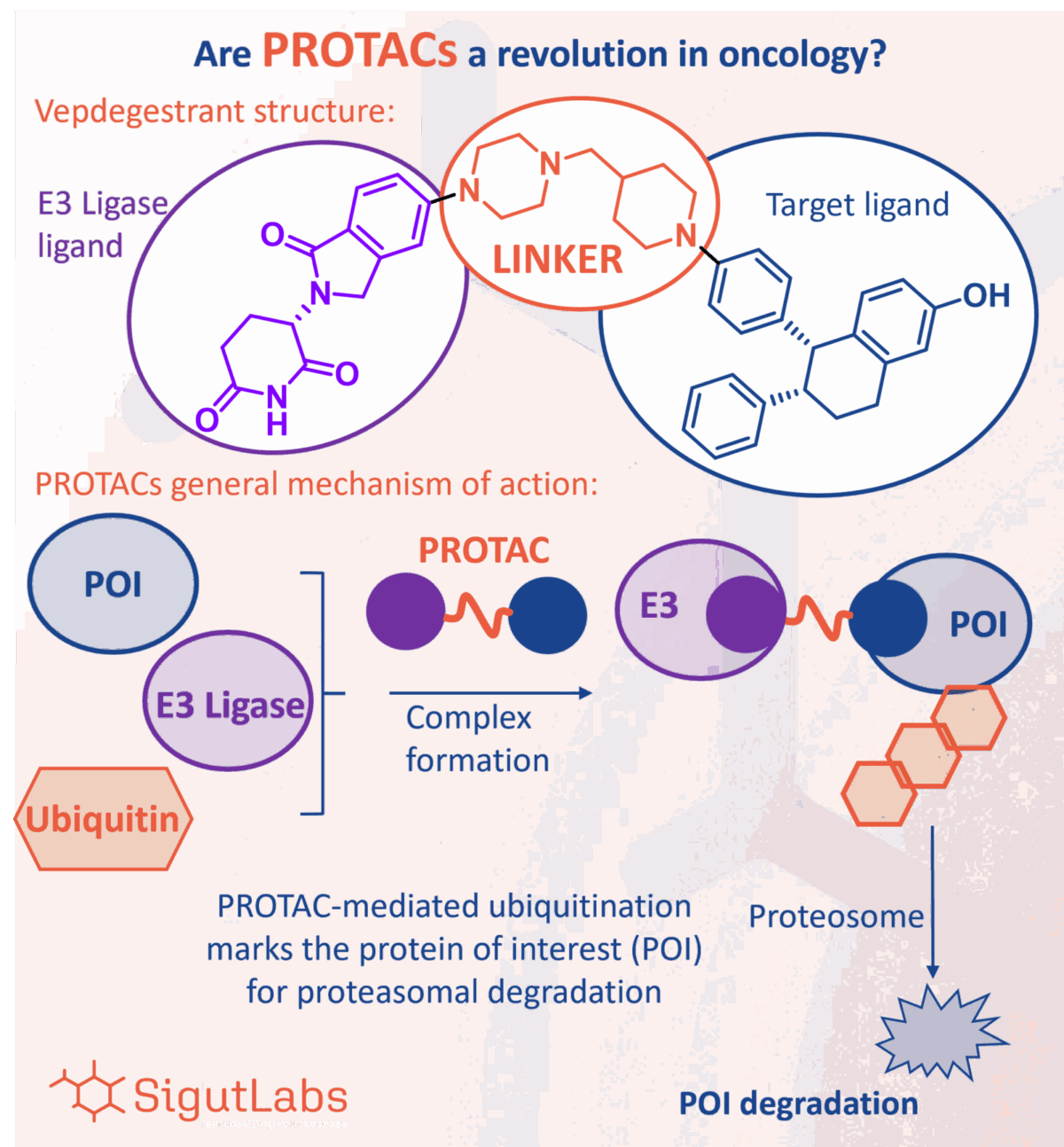 SigutLabs_Protac figure