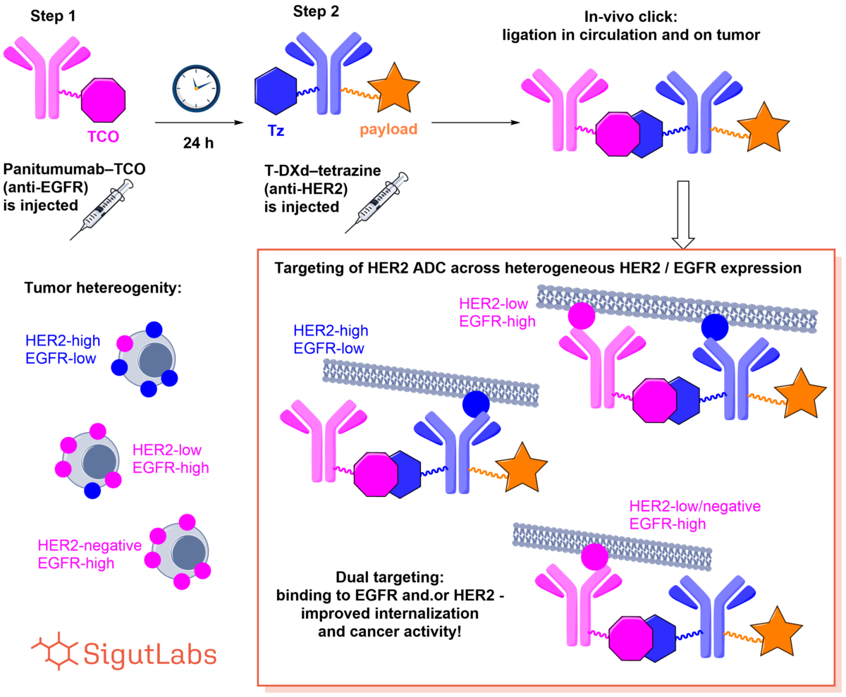 SigutLabs_in-vivo click