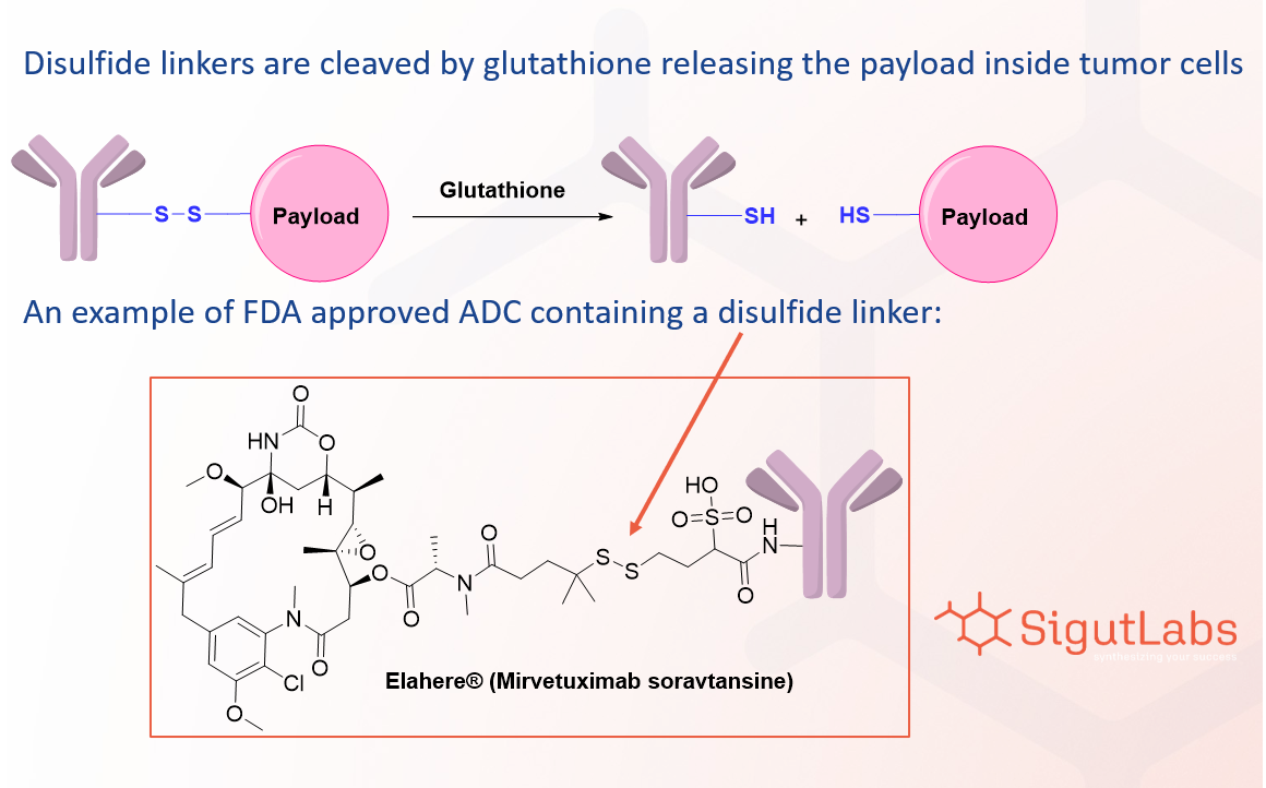 adc-disulfide-linker-glutathione-cleavage-mechanism